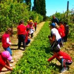 Sorties pédagogiques : La ferme de l’oiselet